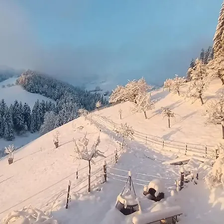 Διαμέρισμα In Emmentaler Bauernhaus, Vogelsang
