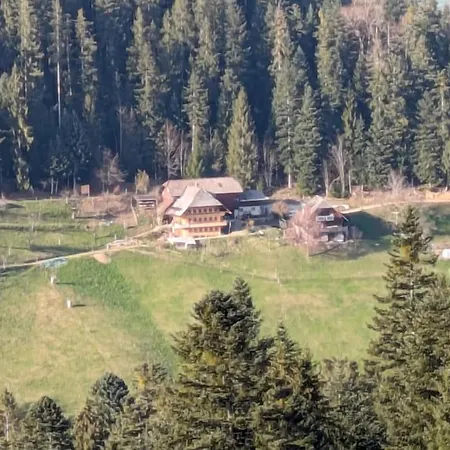 Apartment In Emmentaler Bauernhaus, Vogelsang *