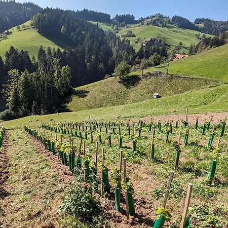 Appartamento In Emmentaler Bauernhaus, Vogelsang