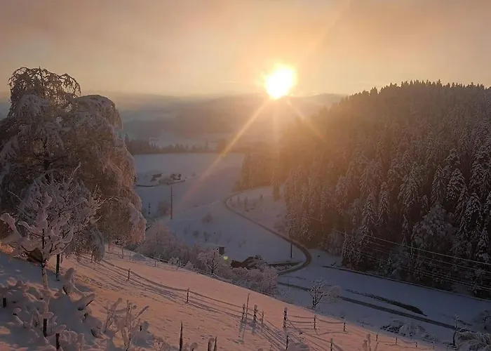 In Emmentaler Bauernhaus, Vogelsang