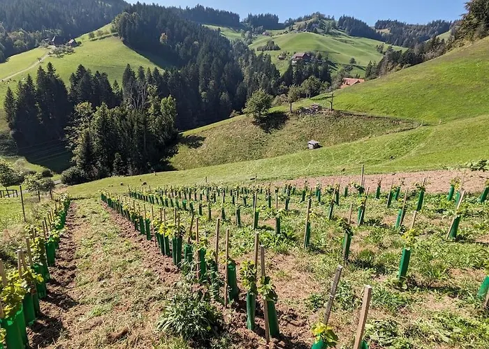 Apartmán In Emmentaler Bauernhaus, Vogelsang